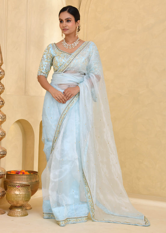 Sky Blue Hand-Embroidered Tissue Saree