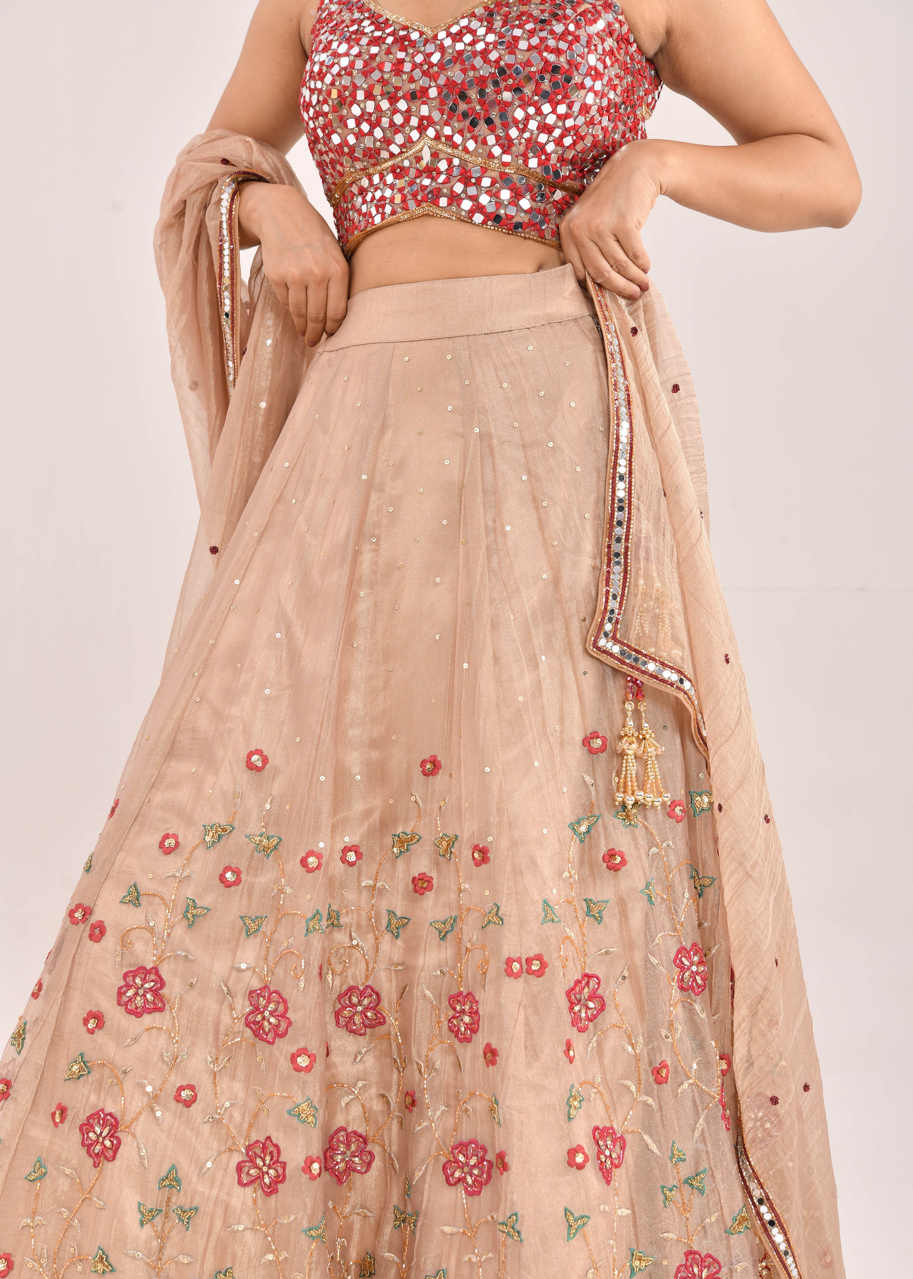 Gold and Red Embroidered Raw Tissue Lehenga