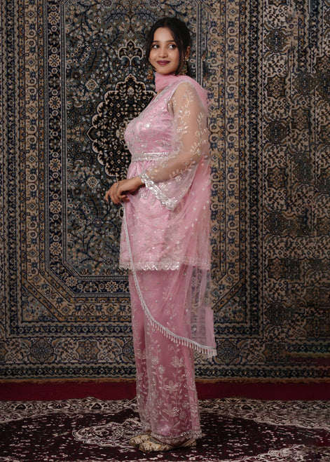 Blush Pink Peplum - Style Hand - Work Net Palazzo Suit - Liza’s FashionLiza’s FashionPalazzo SuitXXSBlush Pink Peplum - Style Hand - Work Net Palazzo Suit