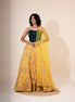 Yellow and Green Multicolor Floral Printed Silk Lehenga - Liza’s FashionLiza’s FashionLehengaXXSYellow and Green Multicolor Floral Printed Silk Lehenga